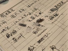茶茶幸运星的图片