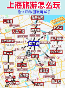 萌新宝宝chblld的图片