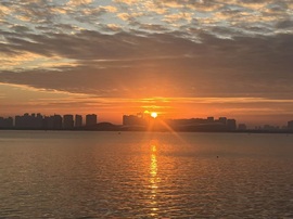 小朝阳・午夜档的图片