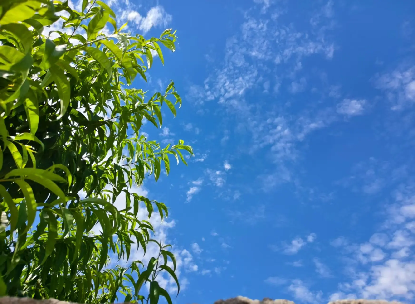 瑶，唱歌你听🎤主播图片