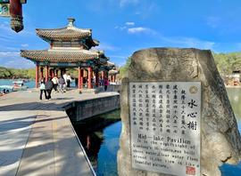 萌新宝宝chblld的图片