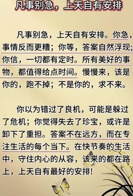 萌新宝宝chblld的图片