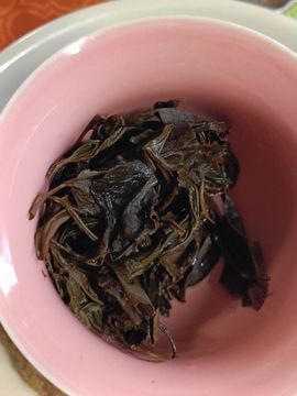 茶茶幸运星的图片