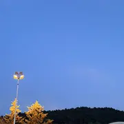 只爱夏荷