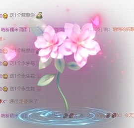 萌新糯米团团的图片