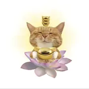桃白白.