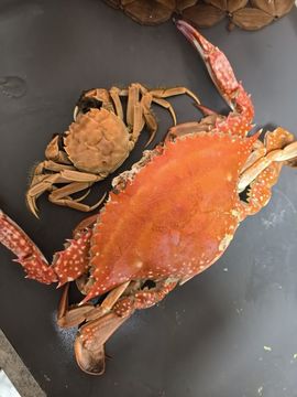 小燚(yi)的图片