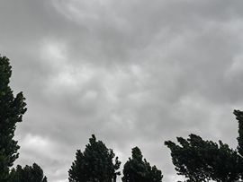 爱笑🌺好运常伴左右的图片
