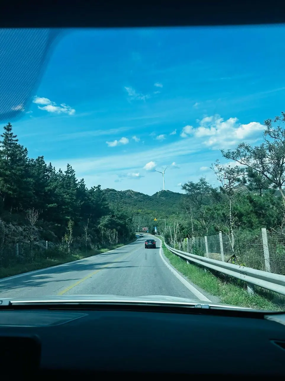 念念念念念念念念念主播图片