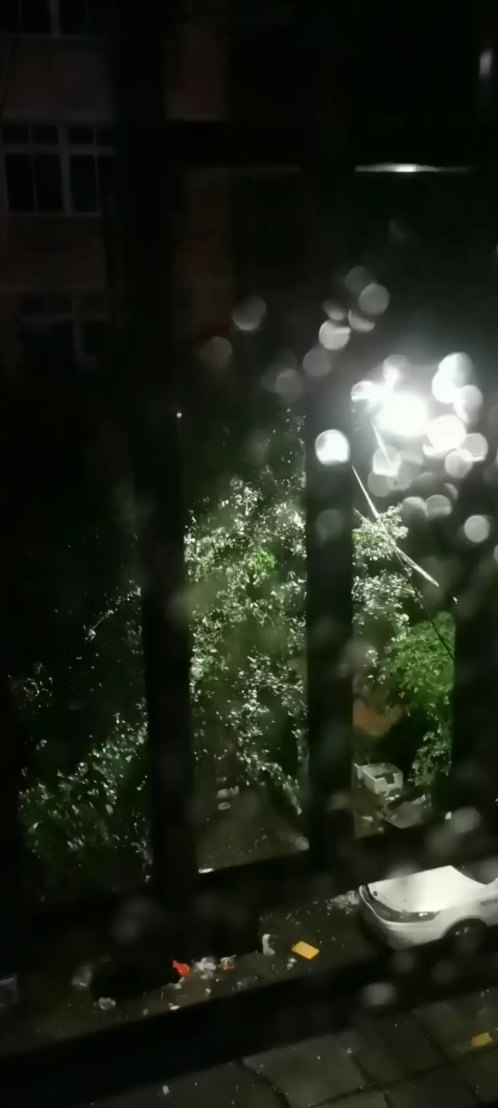 此刻外面发出鬼狐狼嚎