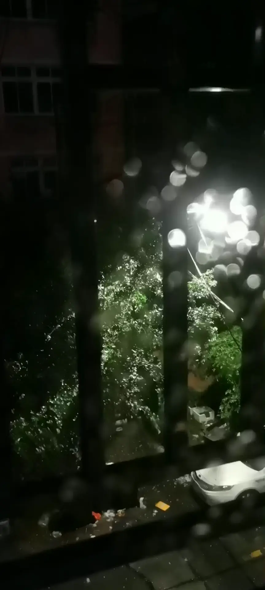 此刻外面发出鬼狐狼嚎