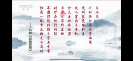 茶茶幸运星主播照片