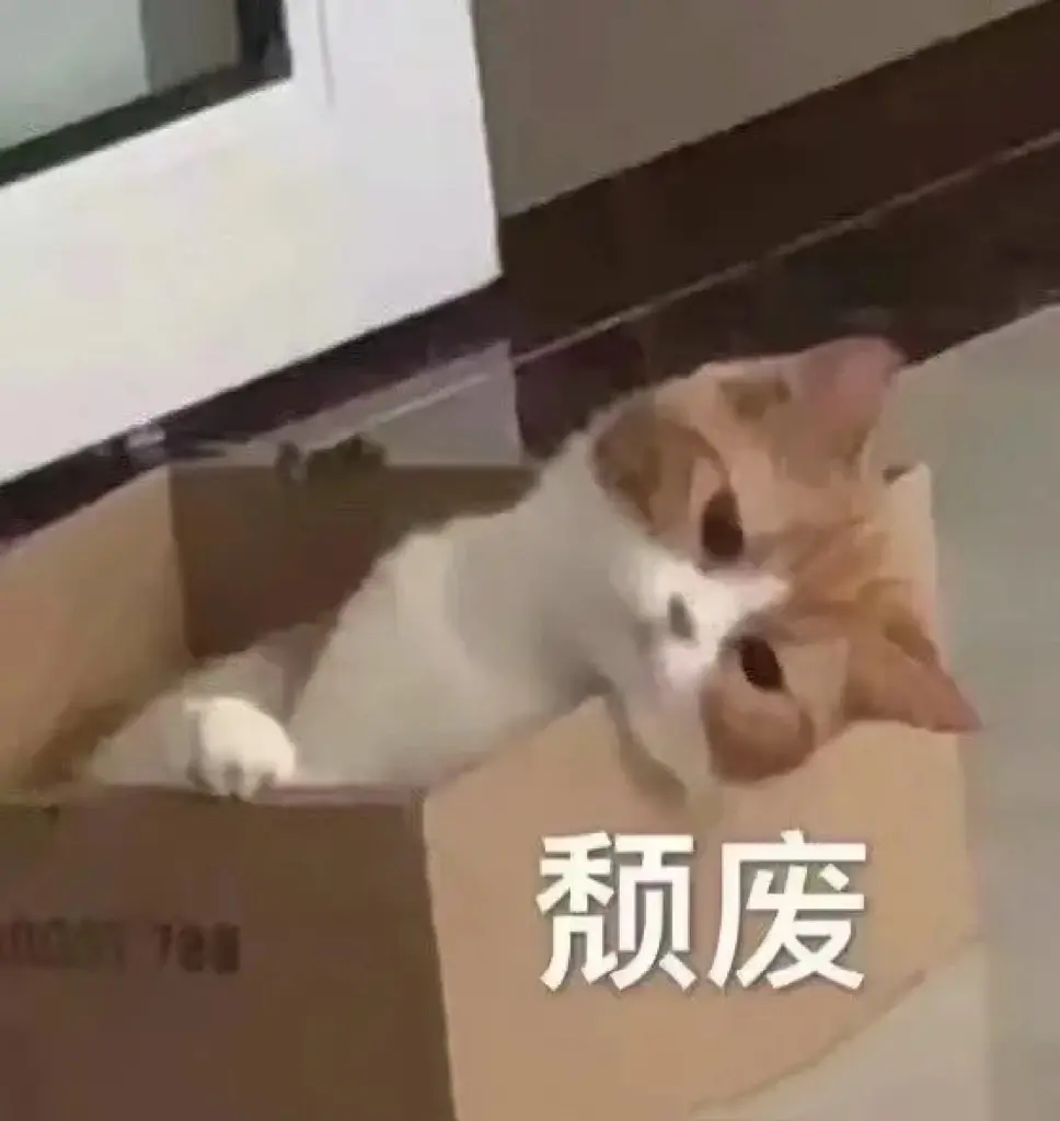 可一不爱笑💕主播图片