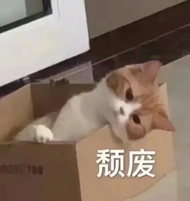 可一不爱笑💕主播照片