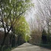 小知秋~