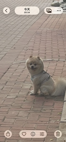 A代理❤玲儿❤的图片