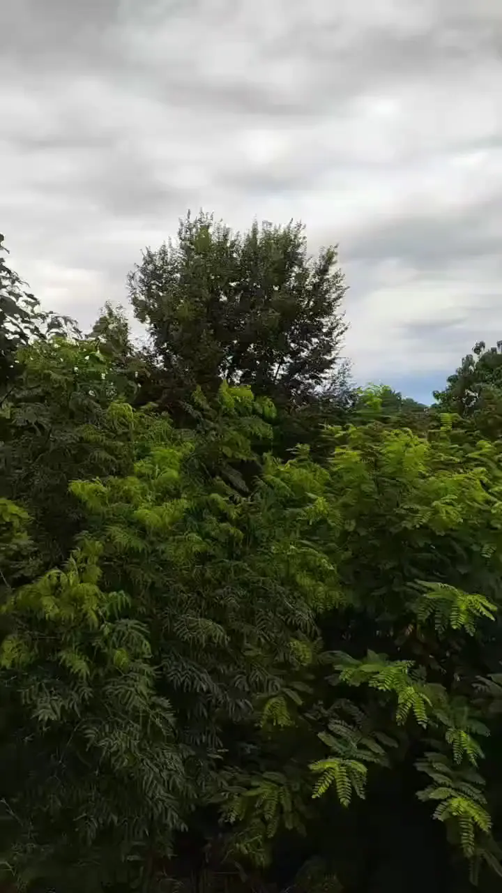 又一场雨即将来临的景