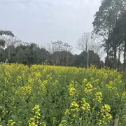 小白同学。。
