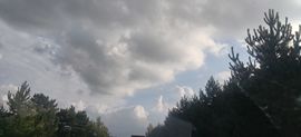 天下无敌打怪的图片