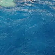 通知你了啊的用户头像