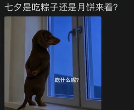 ☂客家甜心金牌代理☂的图片