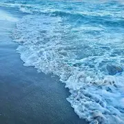 It‘s饱的私人秘书