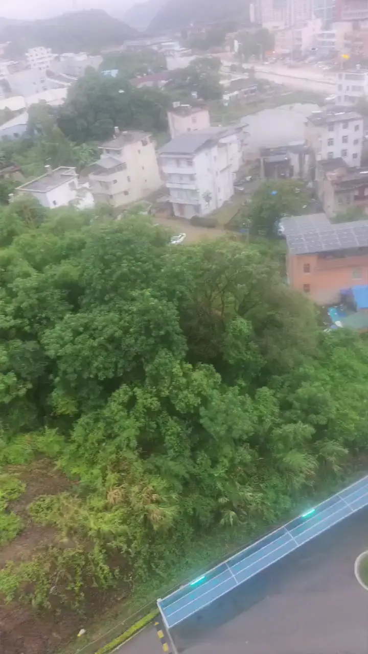 雨后，领略大自然的声