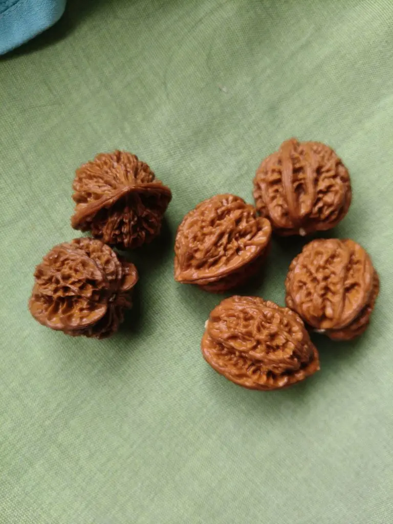 💞阳阳得意💞主播图片
