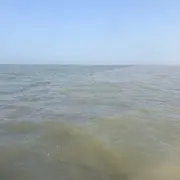 漂洋过海大地瓜