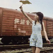 大风车💐