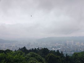 小白菜bnd的图片