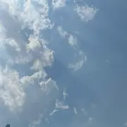 真诚狼◦