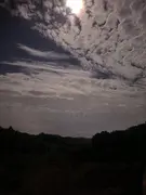 冷兀情