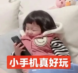 🍎果果的狗的图片