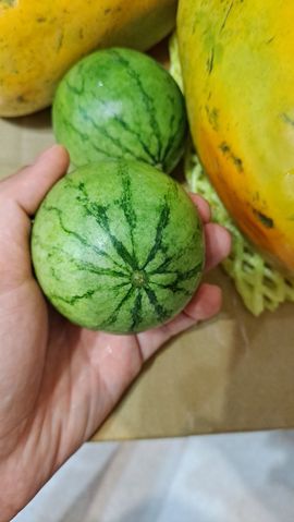 一只楚楚熊☆的图片