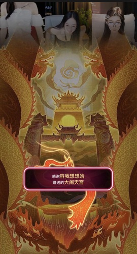 Lily喵的图片