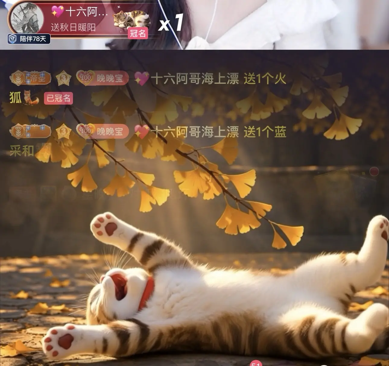 星晚🎀主播图片