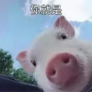 封号，退了！