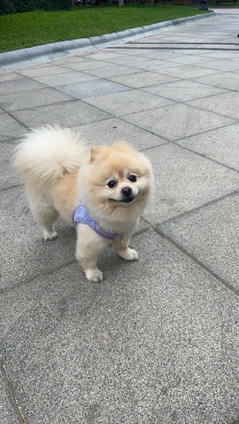 A代理❤玲儿❤主播照片