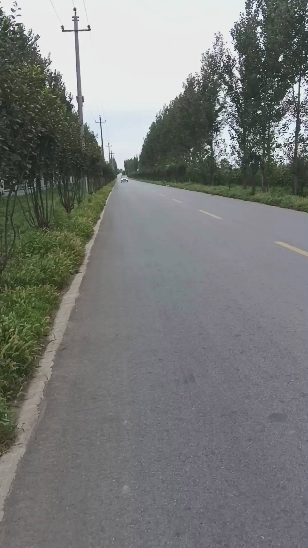 溜达溜达