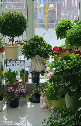 木子kigo九月好运的图片