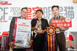 怡霖-名猫的图片