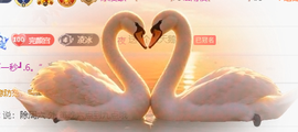 冰凌歌~的图片