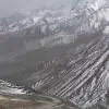 庄生l9