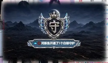 如果可以，我希望守护