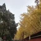 惜HtV