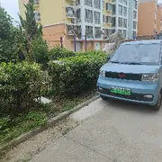 闲鱼#