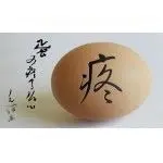 不充不送免费白嫖的主播照片