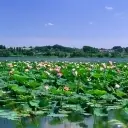 爱你无罪275