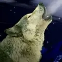 缥缈游客